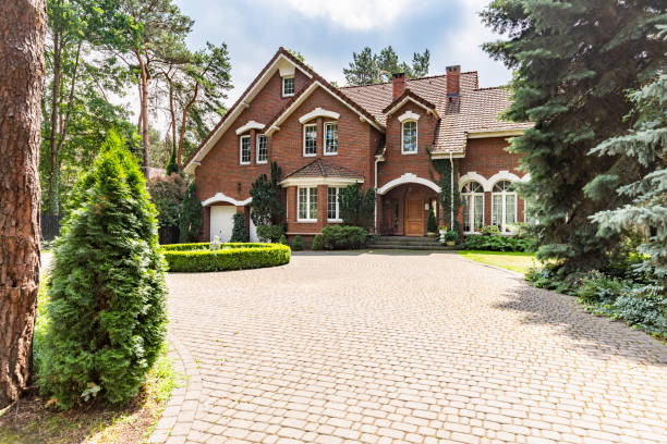 Best Local Driveway Pavers  in Las Lomas, TX