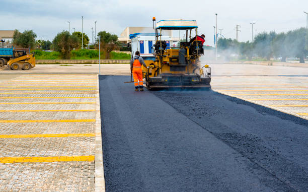 Best Custom Driveway Pavers  in Las Lomas, TX