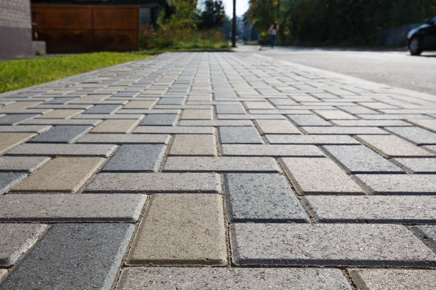 Best Driveway Paving Contractor  in Las Lomas, TX