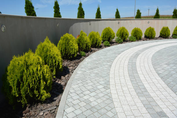 Best Driveway Paving Near Me  in Las Lomas, TX