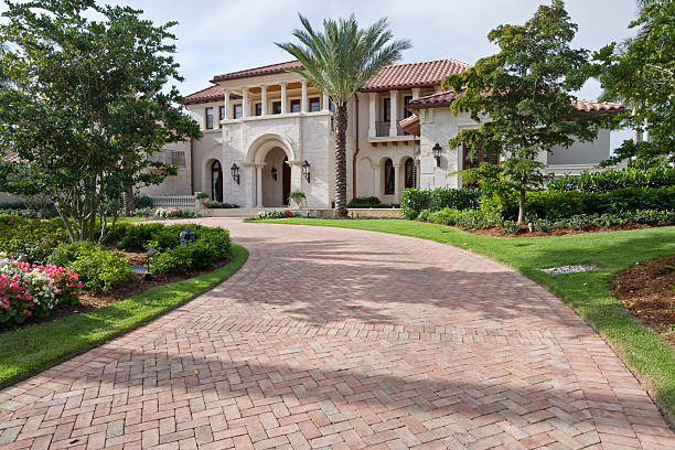 Best Residential Paver Driveway  in Las Lomas, TX