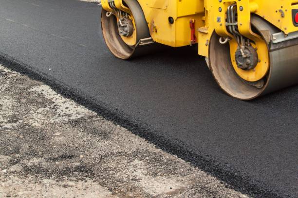 Best Commercial Driveway Pavers  in Las Lomas, TX